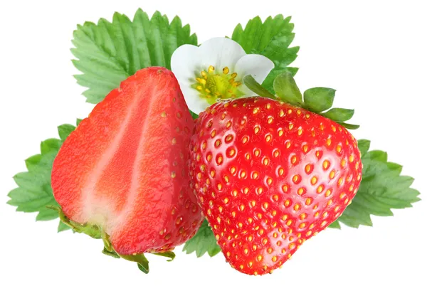 Verführerische Erdbeeren mit Blättern und Blüten. Datei enthält ein cl — Stockfoto