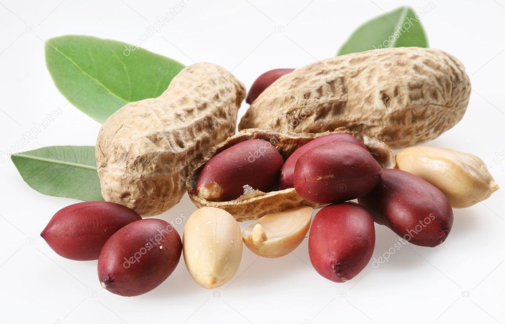 Peanuts with leaves on white background