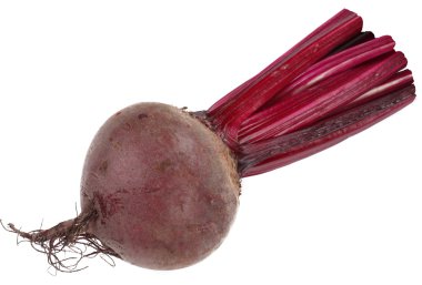 Image of beet on white background. The file contains a path to c clipart