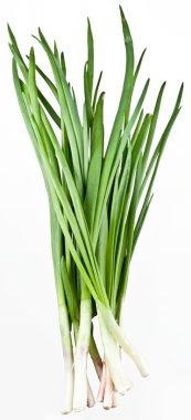 Green onions bunch on a white background clipart