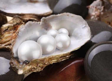 Image placer pearls in a shell on the wet pebbles. clipart