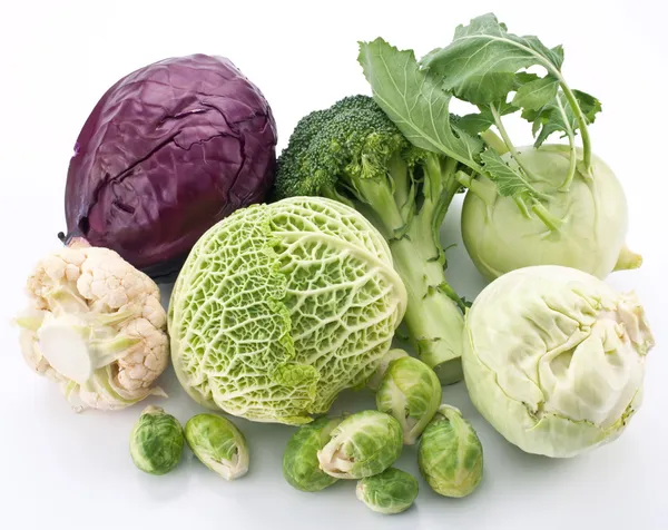 Collection of different varieties of cabbage on a white backgrou — Stock Photo, Image
