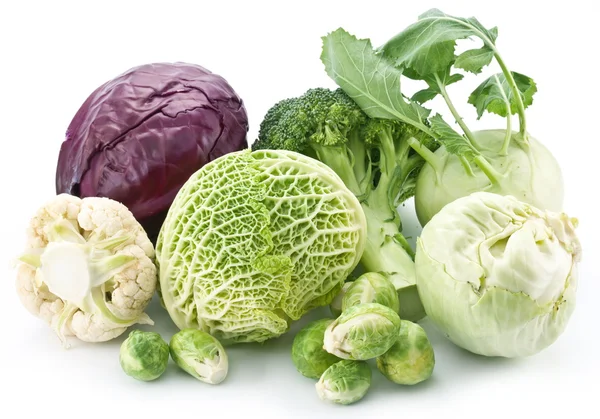 Kolekce různých odrůd zelí na bílé poz — Stock fotografie