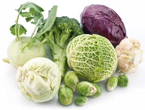 stock image Collection of different varieties of cabbage on a white backgrou