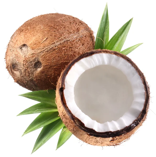 Högkvalitativa foton av kokosnötter på vit bakgrund. — Stockfoto