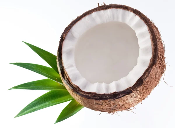 Wysokiej jakości zdjęcia kokosy na białym tle. — Zdjęcie stockowe
