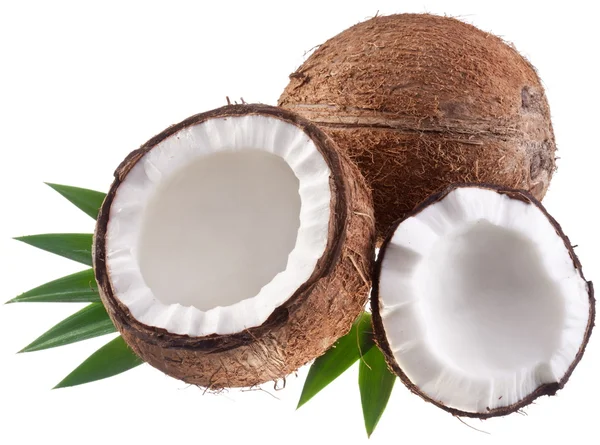 Högkvalitativa foton av kokosnötter på vit bakgrund. — Stockfoto