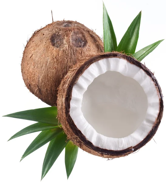 Foto di alta qualità di noci di cocco su sfondo bianco . — Foto Stock