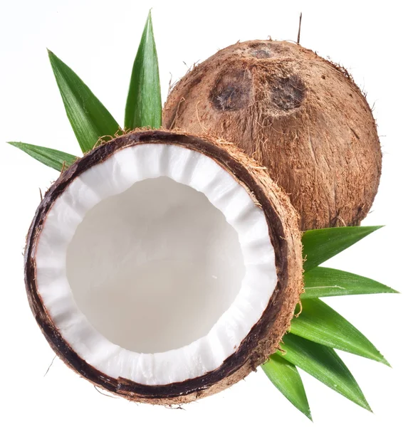 Fotos de cocos de alta calidad sobre fondo blanco . —  Fotos de Stock