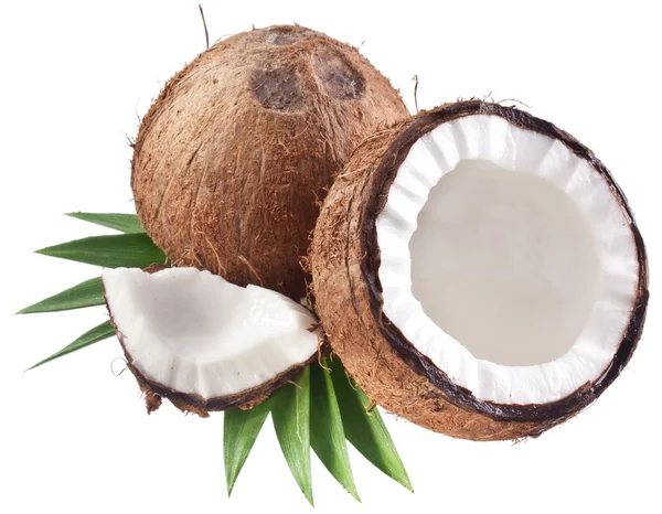白い背景の上にココナッツの高品質の写真. — ストック写真