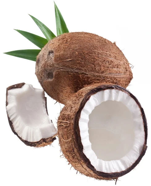 Hoge kwaliteit foto's van kokosnoten op een witte achtergrond. — Stockfoto