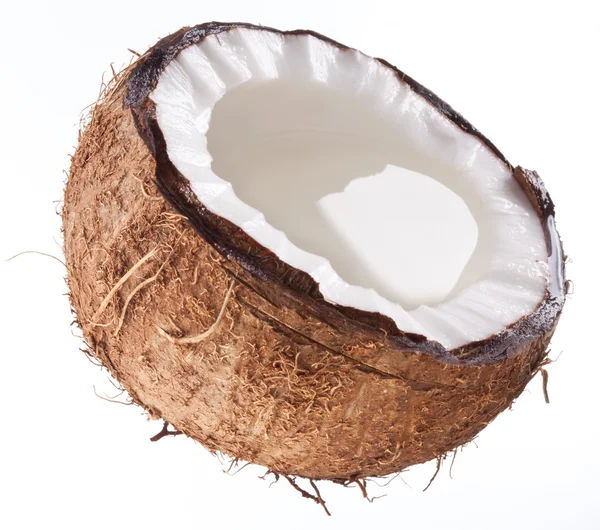 白い背景の上にココナッツの高品質の写真. — ストック写真