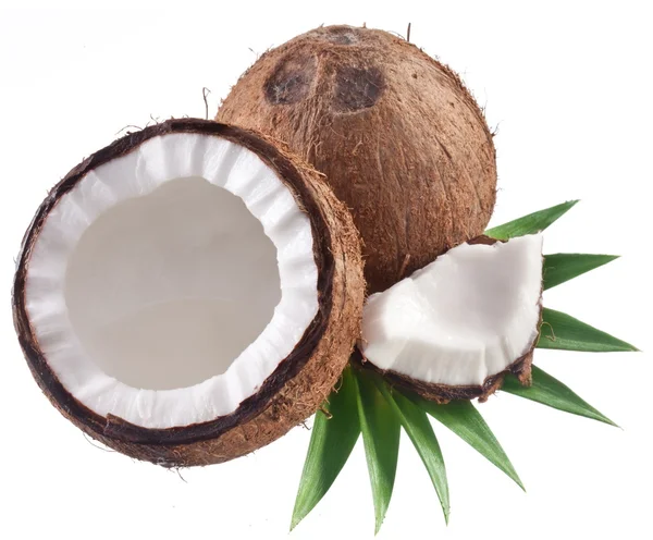 Hochwertige Fotos von Kokosnüssen auf weißem Hintergrund. — Stockfoto