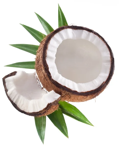 Vysoce kvalitní fotografie kokosy na bílém pozadí. — Stock fotografie