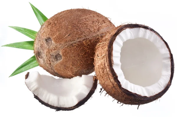 Hoge kwaliteit foto's van kokosnoten op een witte achtergrond. — Stockfoto