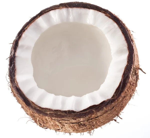 stock image High-quality photos of coconuts on a white background.