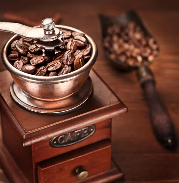 Смажені кавові зерна в кавомолці . — стокове фото