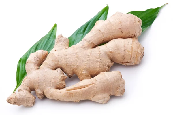 Fresh ginger with leaves isolated on white background. — Stock Photo, Image