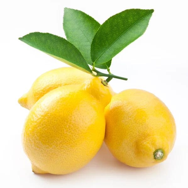 Hochwertiges Foto reife Zitronen auf weißem Hintergrund — Stockfoto
