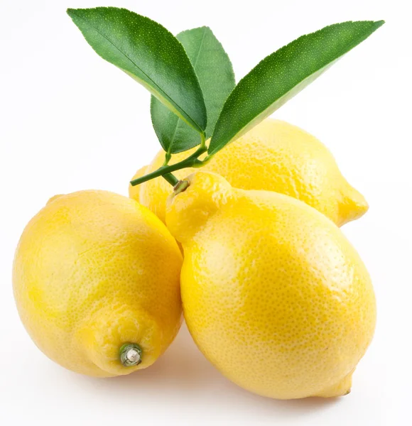 Magas-tulajdonság fénykép érett citrom, fehér alapon — Stock Fotó