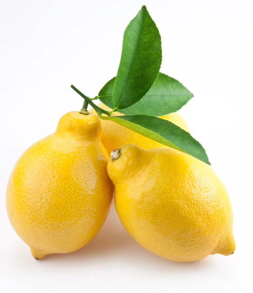 Высококачественные фото спелых лимонов на белом фоне — стоковое фото