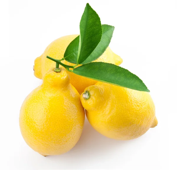 Kwalitatief hoogwaardige foto rijp citroenen op een witte achtergrond — Stockfoto
