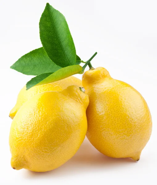 白い背景の上の高品質写真熟したレモン — ストック写真
