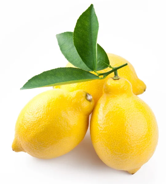 Высококачественные фото спелых лимонов на белом фоне — стоковое фото