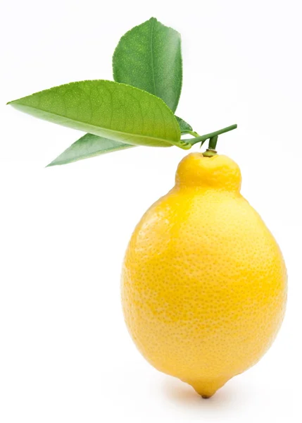 Limoni maturi foto di alta qualità su sfondo bianco — Foto Stock