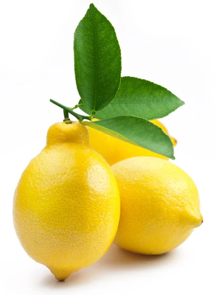 Hochwertiges Foto reife Zitronen auf weißem Hintergrund — Stockfoto