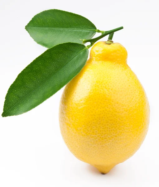 Kwalitatief hoogwaardige foto rijp citroenen op een witte achtergrond — Stockfoto