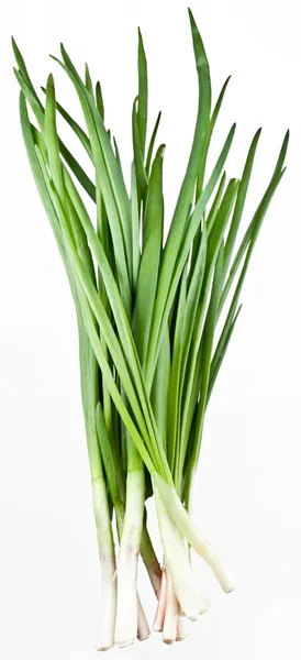 Ramo de cebollas verdes sobre un fondo blanco —  Fotos de Stock