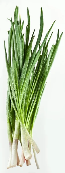 Svazek zelené cibulky na bílém pozadí — Stock fotografie