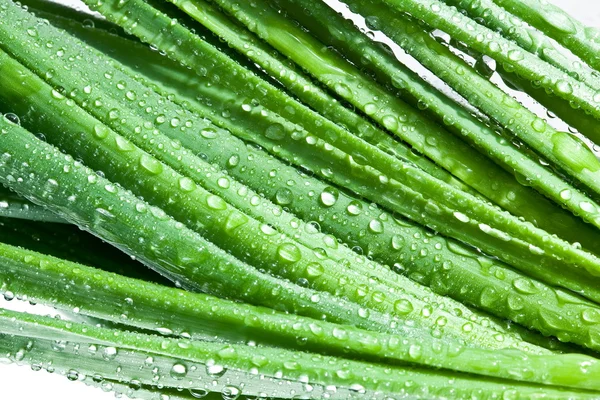 Listy cibule closeup kapkami vody — Stock fotografie