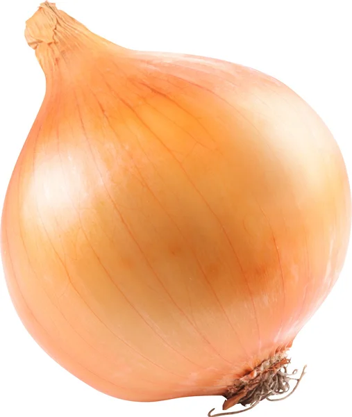 Image of onion on white background. The file contains a path to — Stock Photo, Image