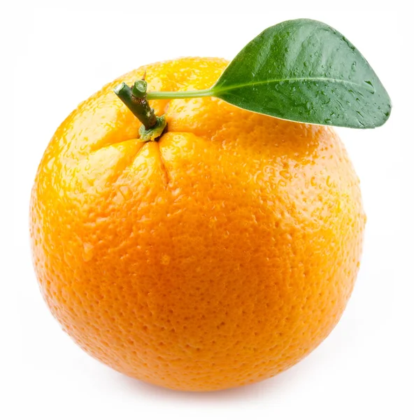 Imagem de uma laranja madura sobre um fundo branco . — Fotografia de Stock