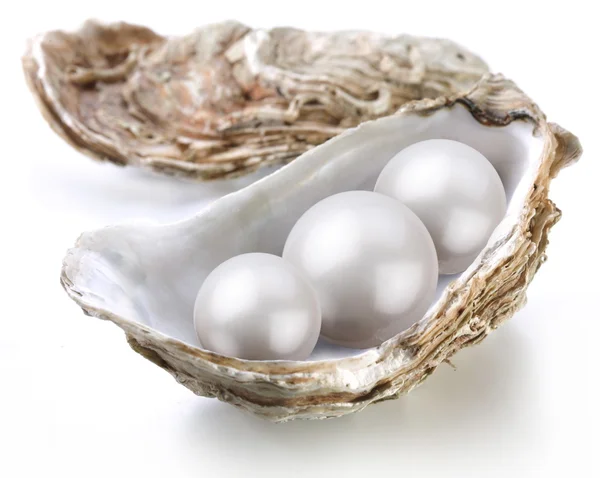 Image Placer Perlen in einer Muschel auf weißem Hintergrund. — Stockfoto