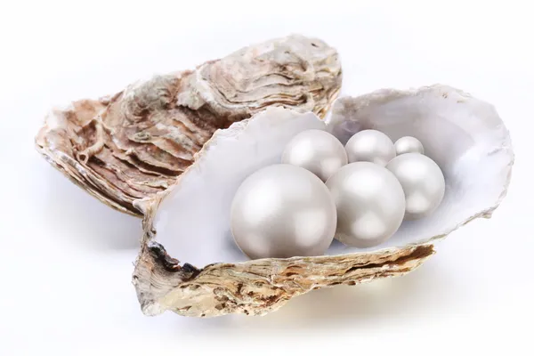 Imagen placer perlas en una concha sobre un fondo blanco . — Foto de Stock