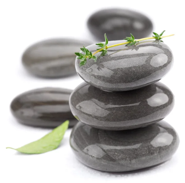 Spa stones with green leaves on a white background. — Stock Photo, Image