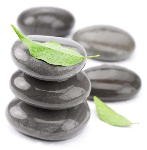 Wellness-Steine mit grünen Blättern auf weißem Hintergrund. — Stockfoto
