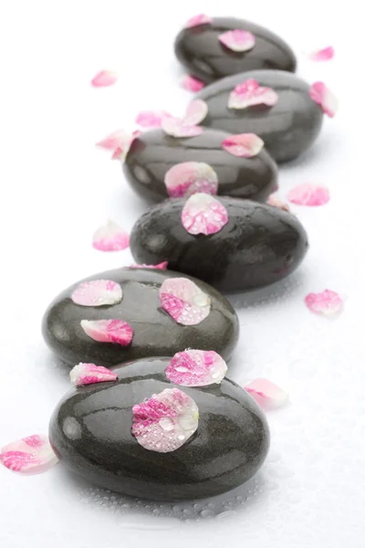 Wellness-Steine mit Rosenblättern auf weißem Hintergrund. — Stockfoto