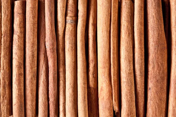 Texture image cinnamon sticks. — Stock Photo, Image