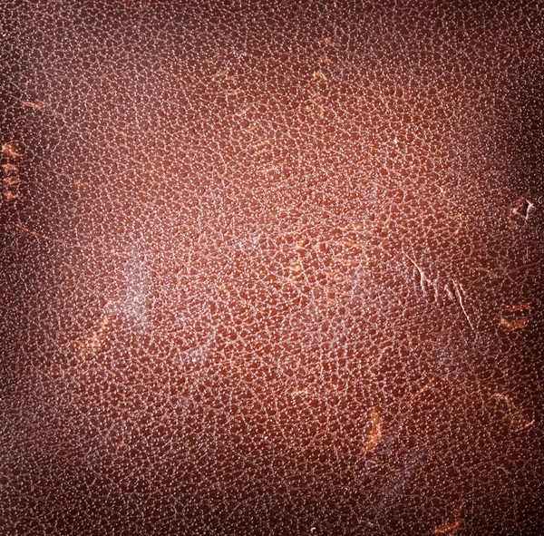 Obraz tekstury skóry, brązowy. — Zdjęcie stockowe