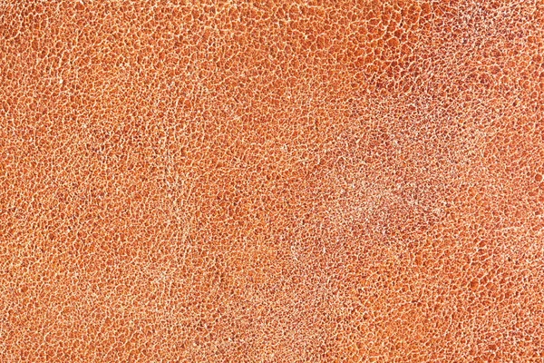 Afbeelding textuur van bruine huid. — Stockfoto