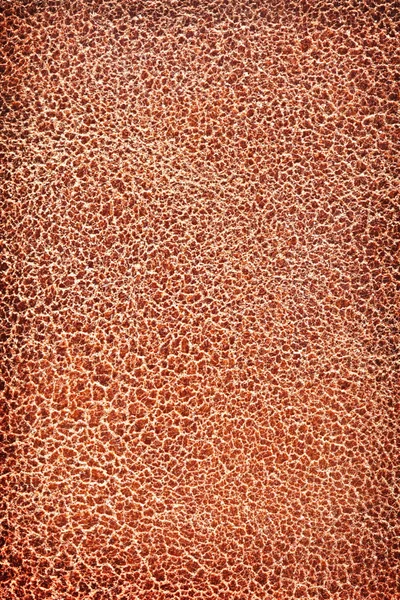 Текстура зображення коричневої шкіри . — стокове фото