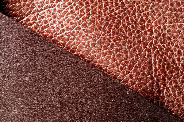 Textura de la imagen de piel marrón . —  Fotos de Stock