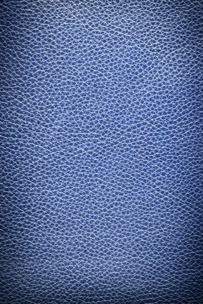Kék bőr kép textúra. — Stock Fotó