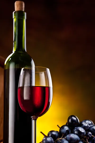 Zátiší s láhví vína — Stock fotografie