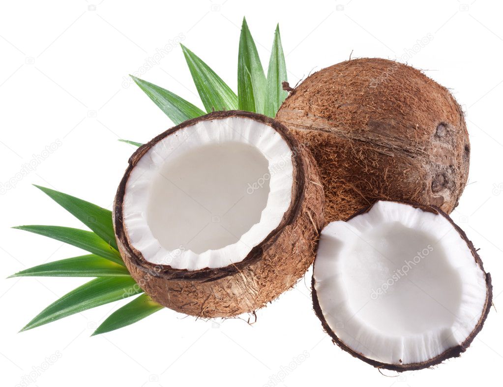 High-quality photos of coconuts on a white background. — Stock Photo ...