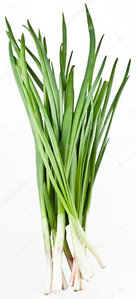 Green onions bunch on a white background